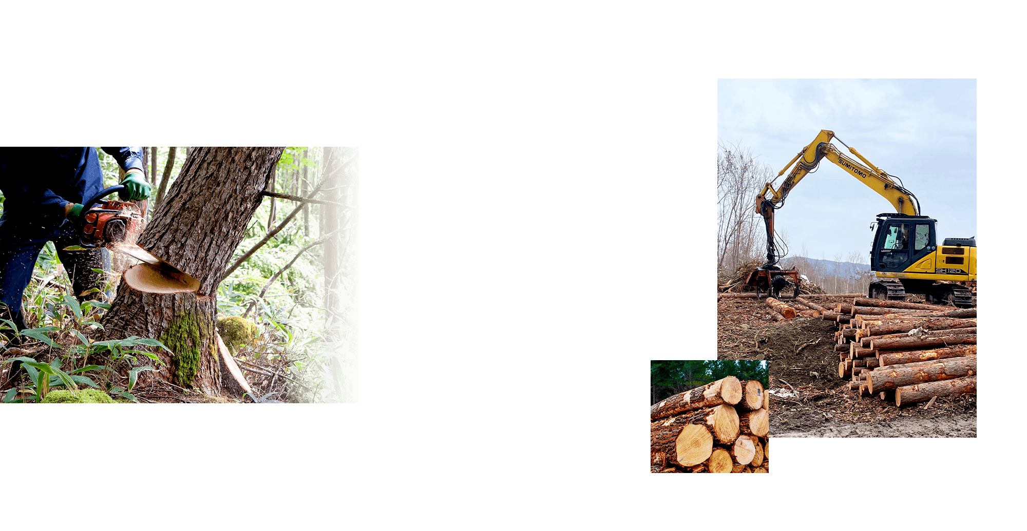 山主様と林業の現場をつなぎ、山林の価値を最大化する。山林の管理・買取・補助金申請サポートまで幅広く対応