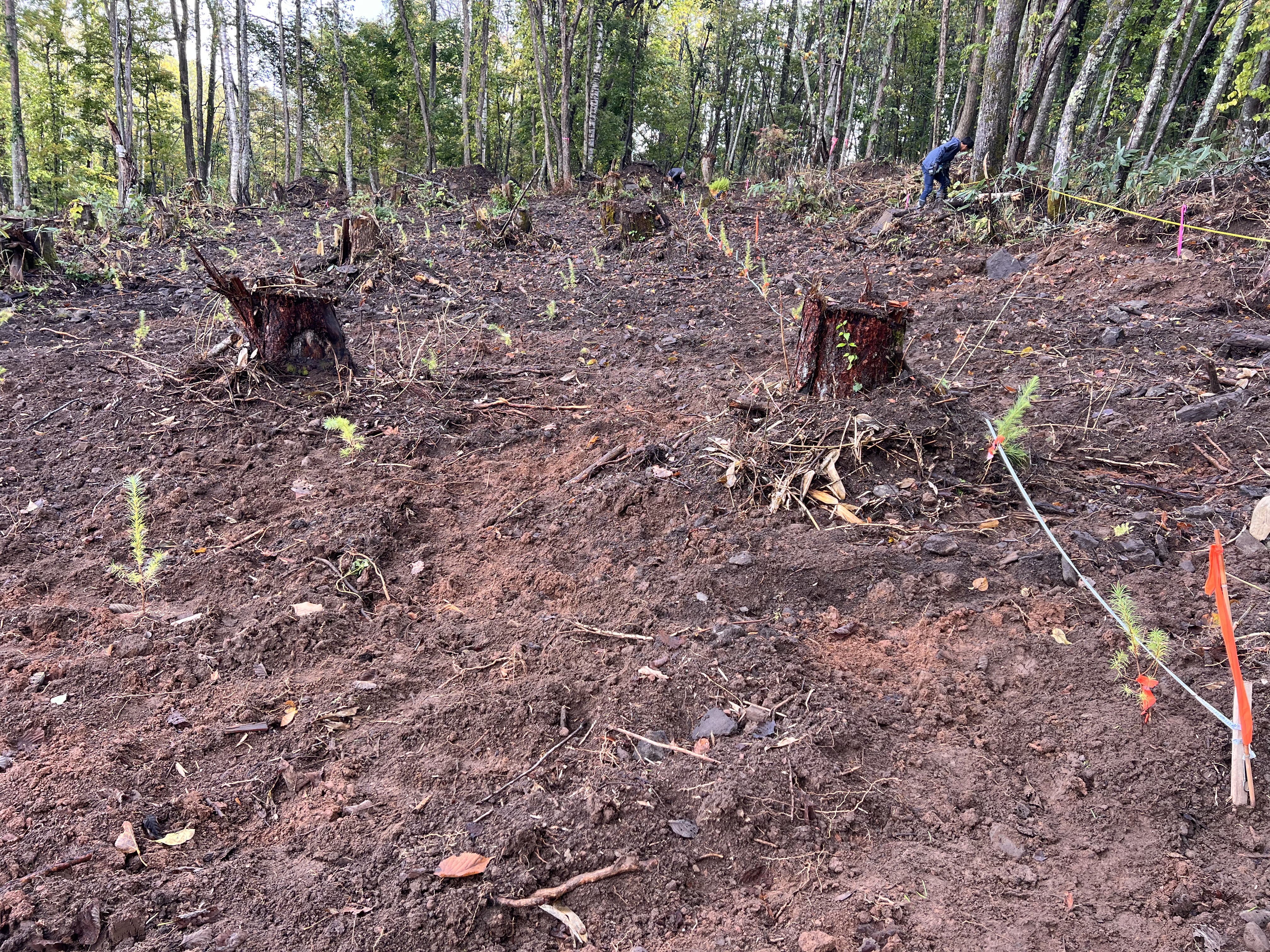 5DB1D140-F238-44D1-9AC2-2633C7F02062