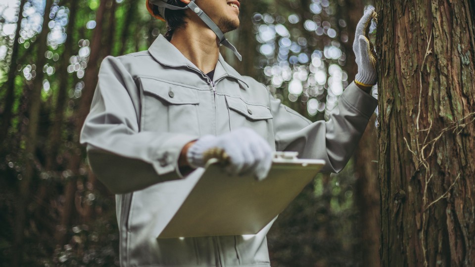 AdobeStock_219505578-960x540