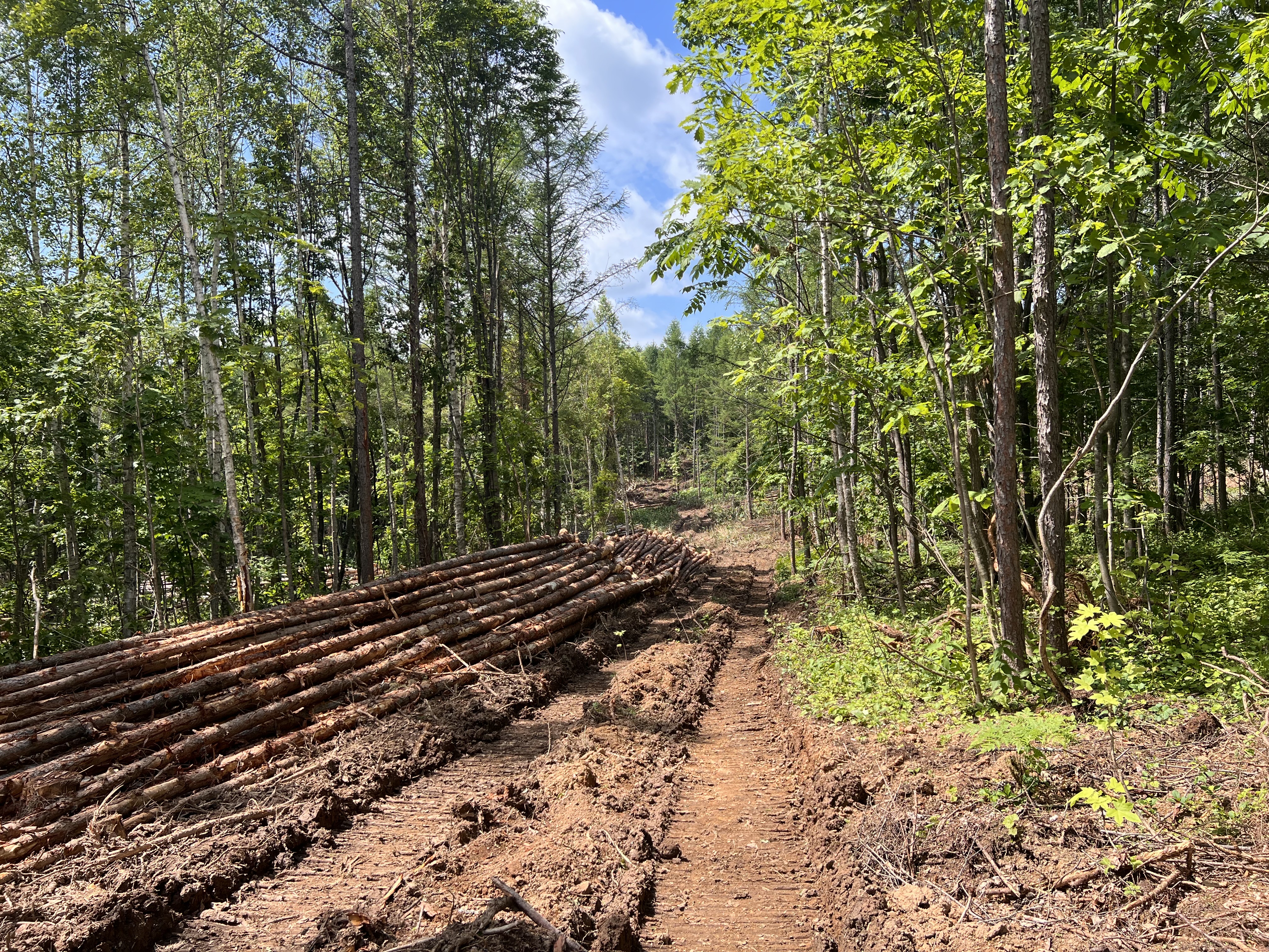 EE6C7F70-191D-4540-AA5A-C4CFDFF4214D